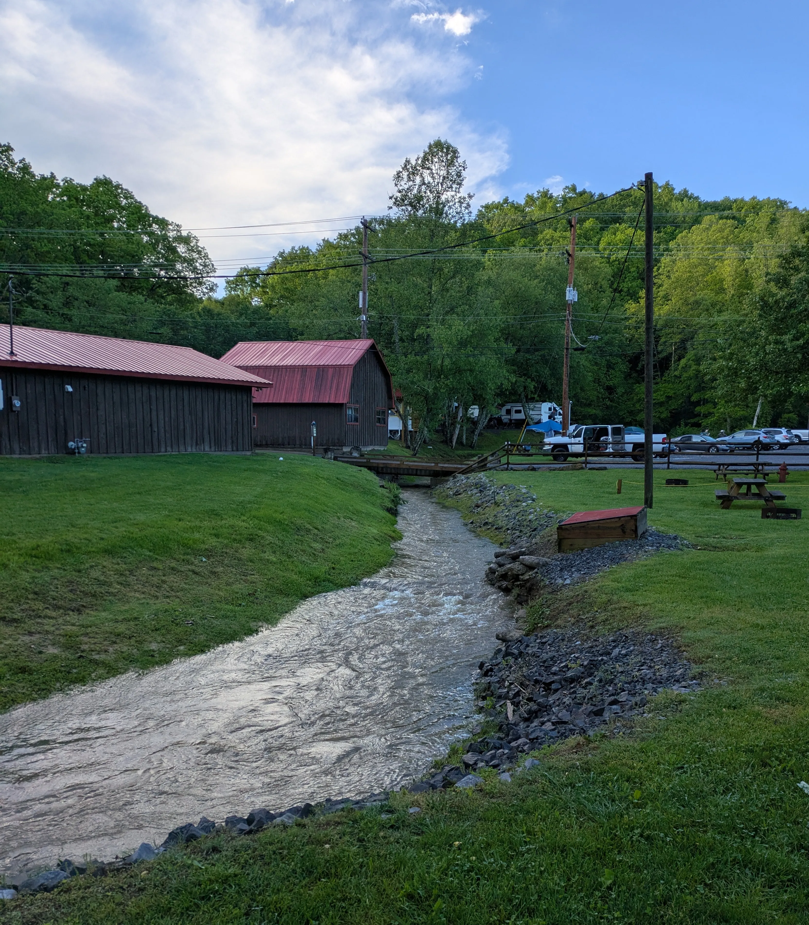 Flooded Stream